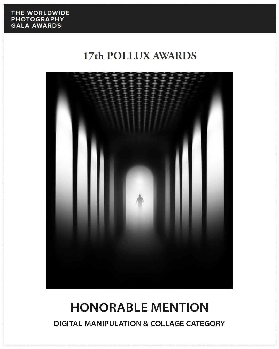 17th Pollux Awards: Honorable Mention in Digital Manipulation & Collage Category