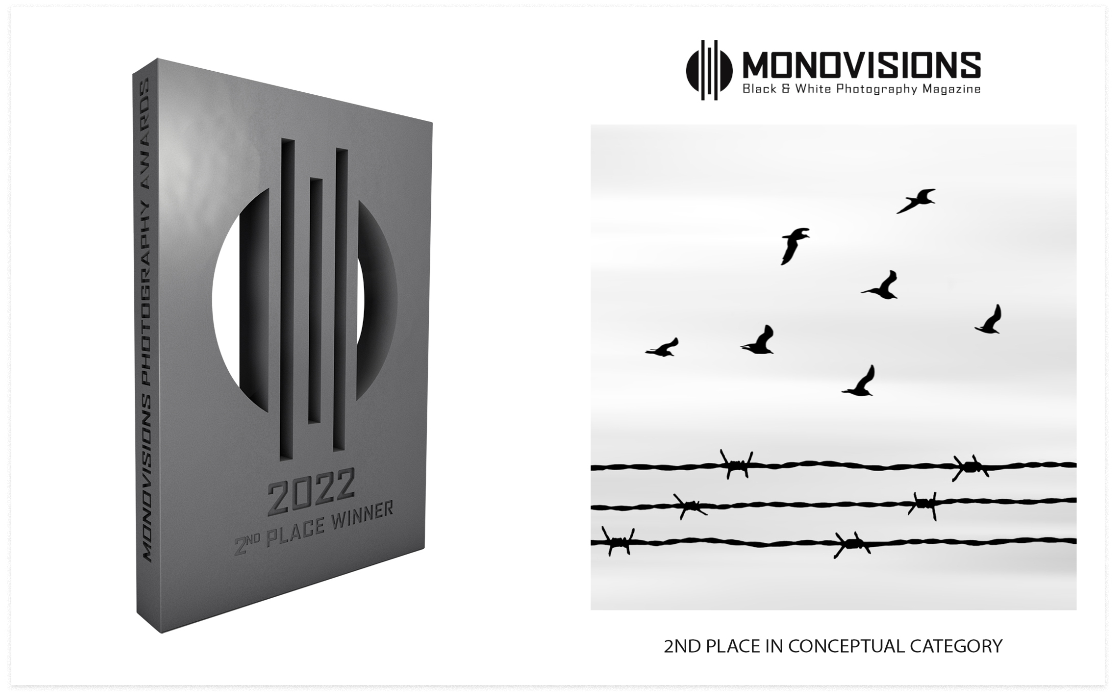 Monovisions Black and White Photography Awards