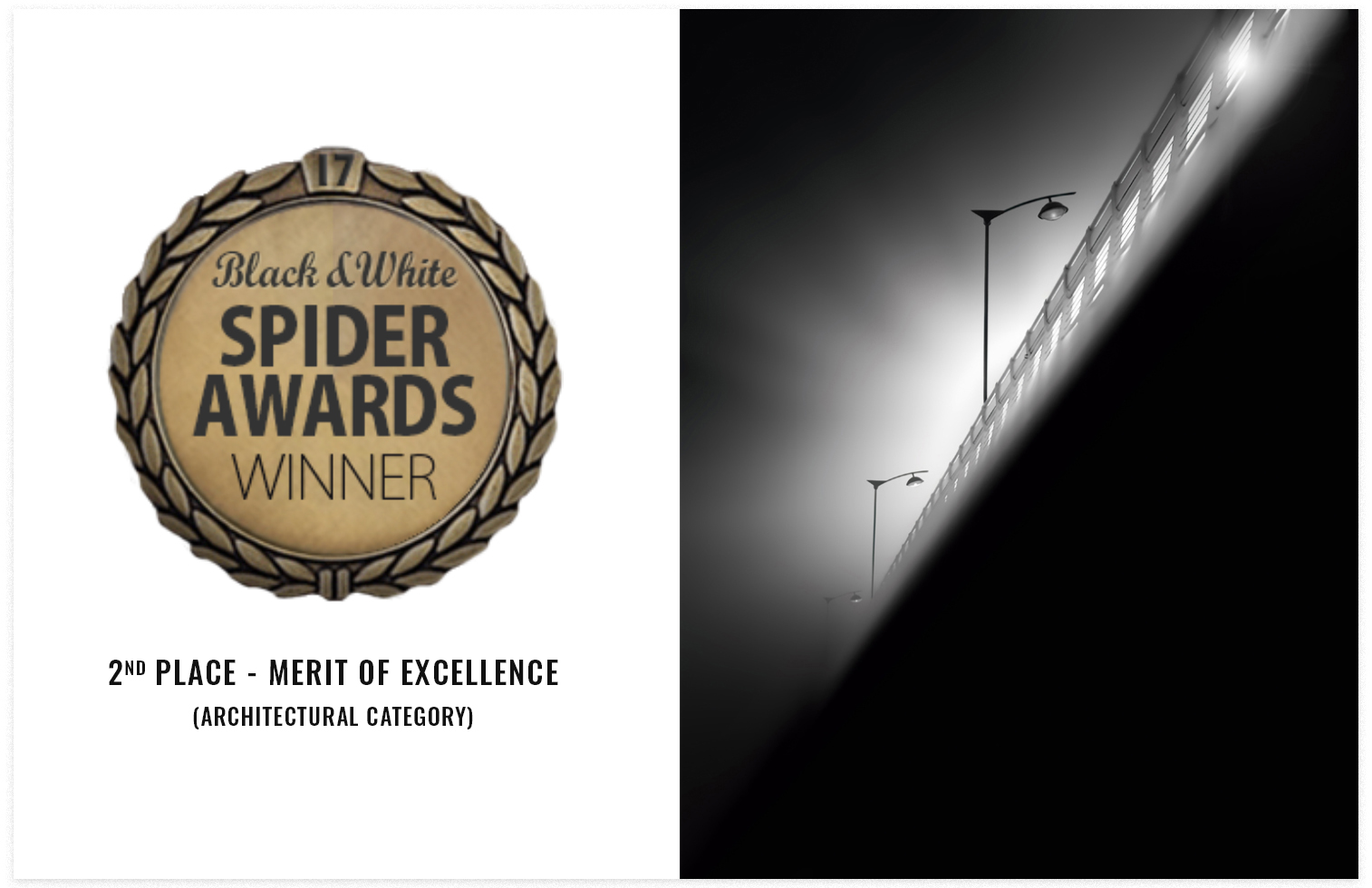 17th Annual Black & White Spider Awards